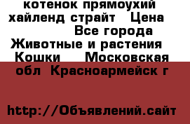 котенок прямоухий  хайленд страйт › Цена ­ 10 000 - Все города Животные и растения » Кошки   . Московская обл.,Красноармейск г.